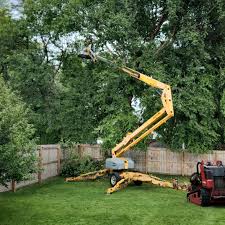 Best Tree Trimming and Pruning  in La Ada Flintridge, CA